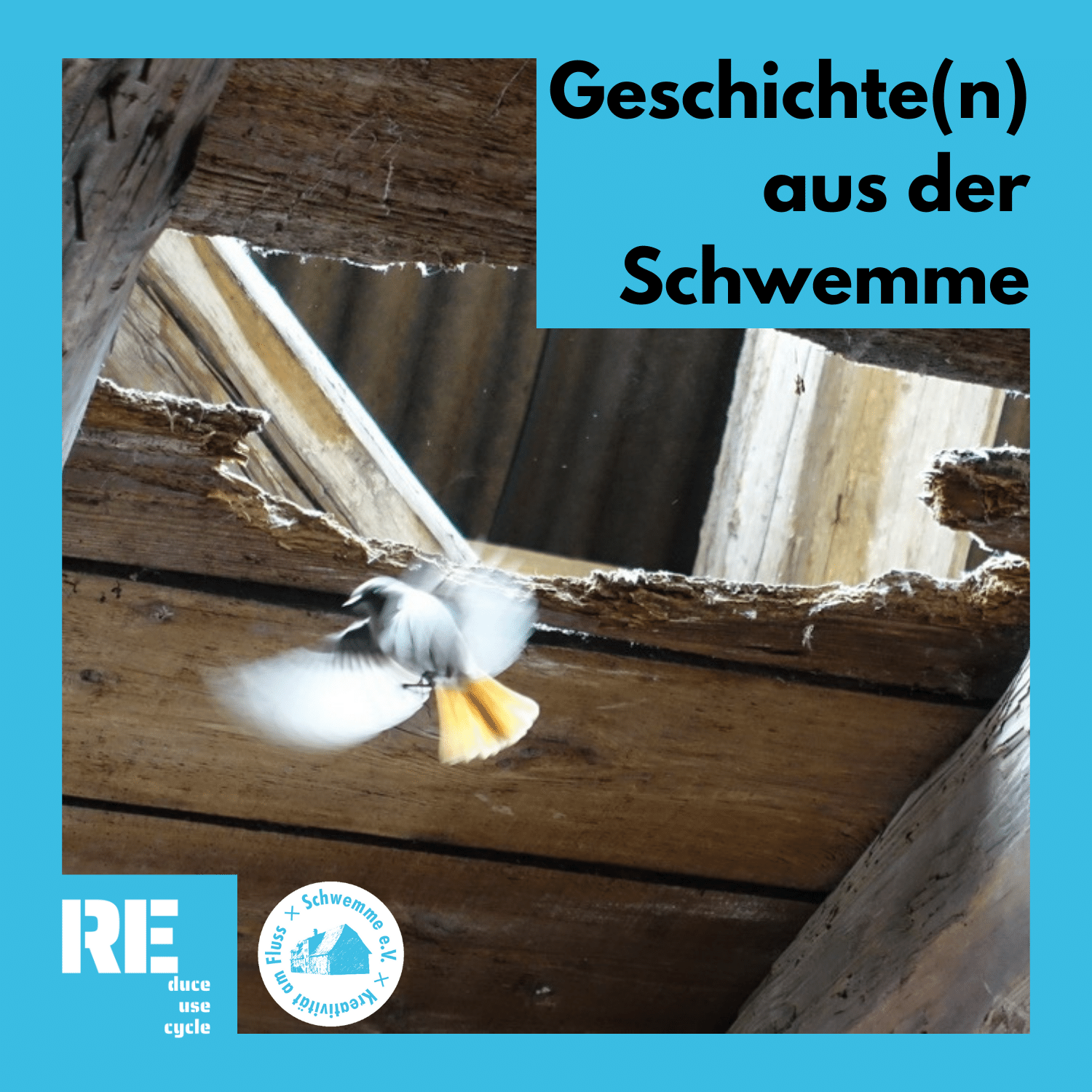 Geschichte(n) aus der Schwemme